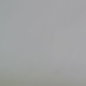 Meet your Posher, Gavin